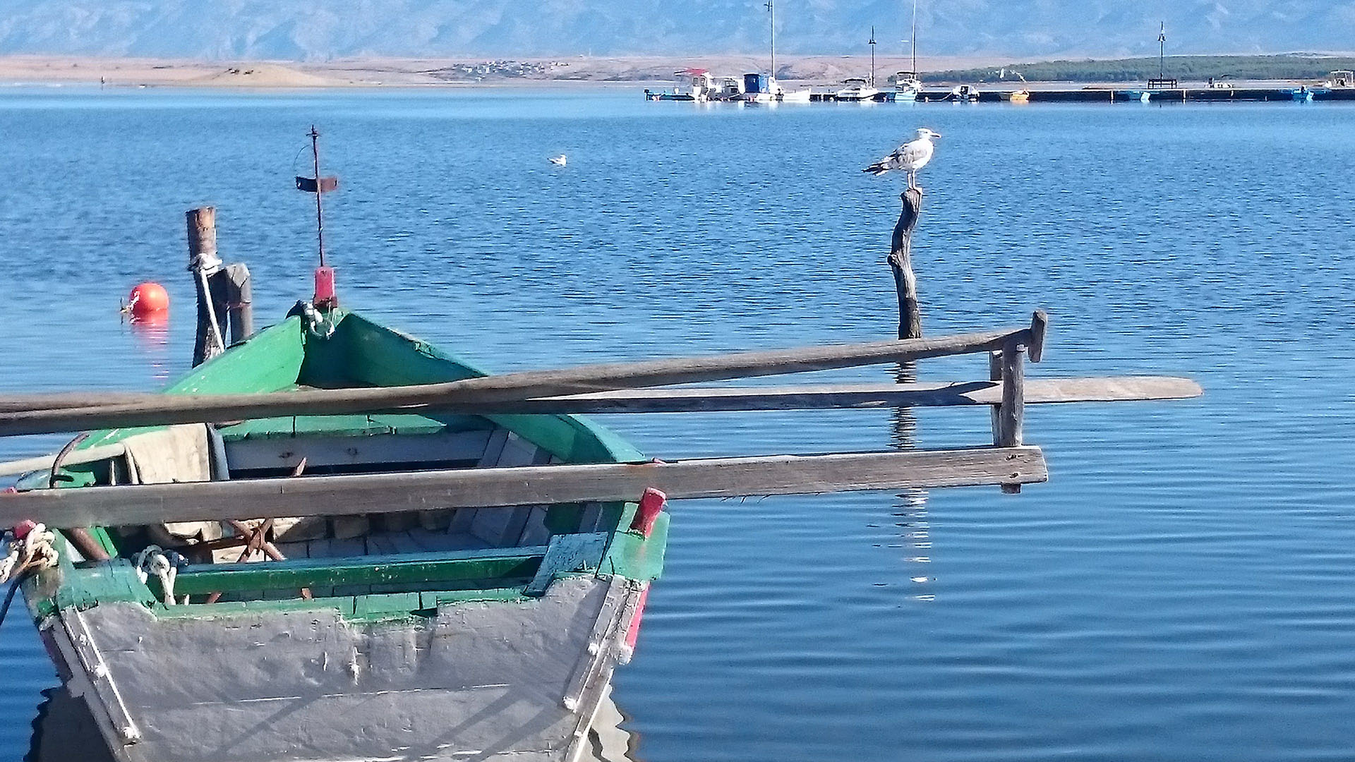 Blumax 19 Open Nin port